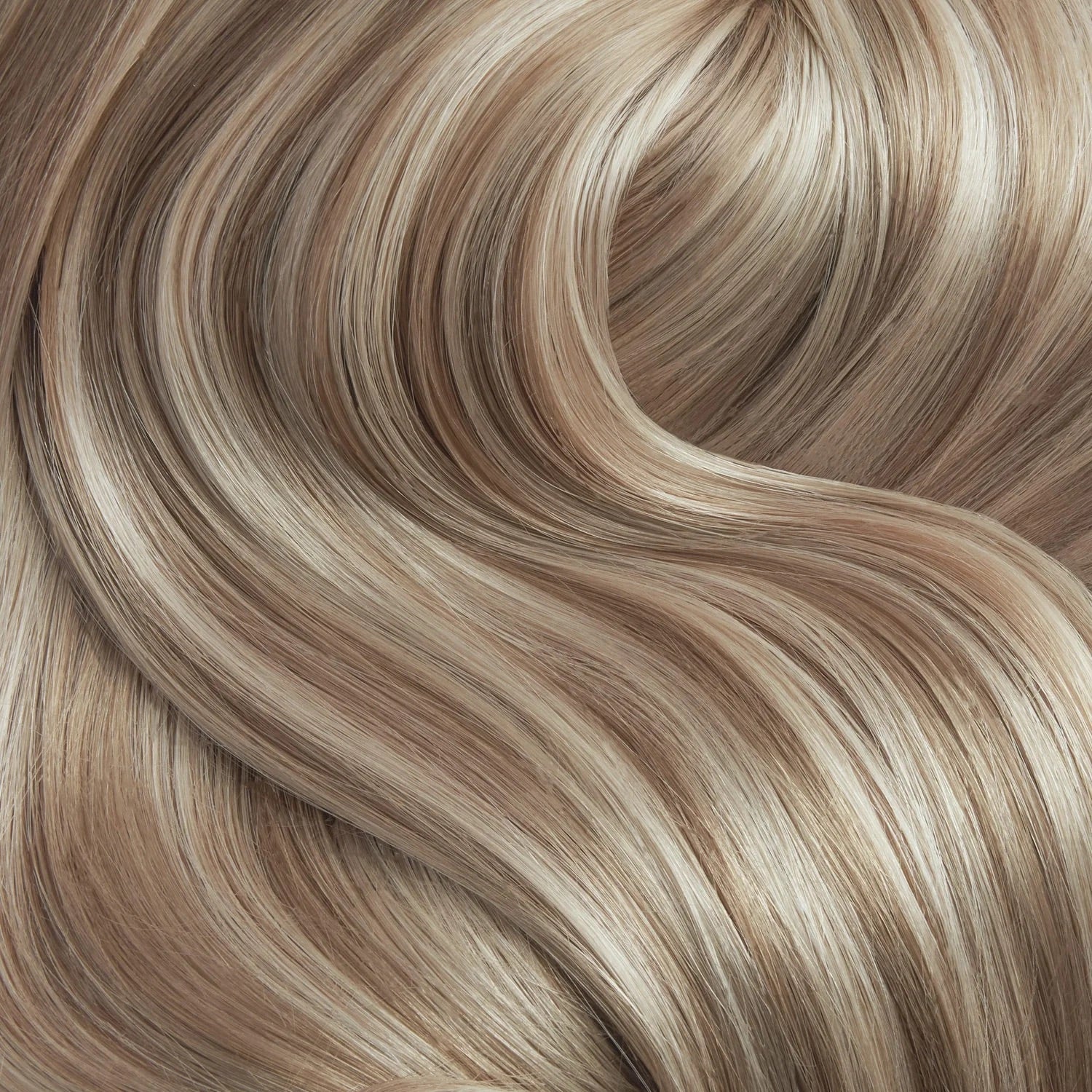 Mocha Muse